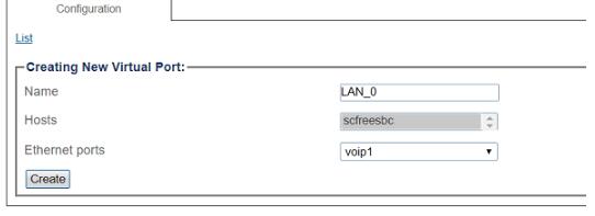 Virtual-ports-lan-1.jpg