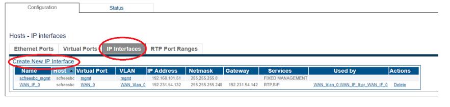 IP interfaces-LAN-3.jpg