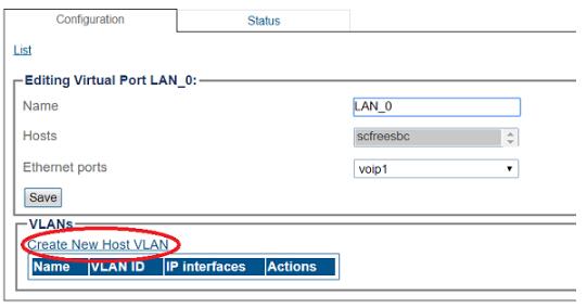 New-host-VLAN-LAN.jpg